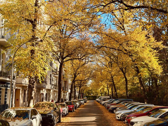 Erstbezug nach Sanierung | familiengerechte Altbauwohnung mit Terrasse in Bestlage | provisionsfrei – Rönnestraße