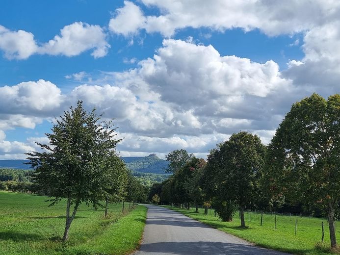 Lindichstrasse