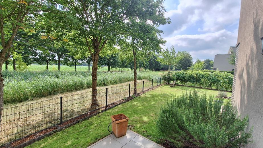 Garten - Ostseite - Fleet