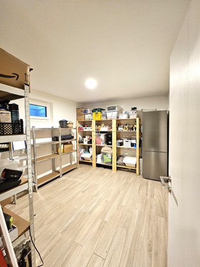 L’architettura incontra la natura – casa in muratura con privacy e un’esperienza abitativa straordinaria – Lager- & Vorratsraum (UG)