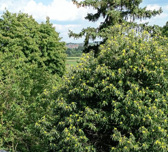 von Küche und Bad Ausblick auf