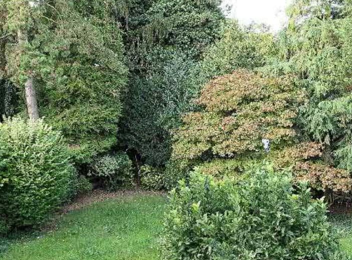 ein Immobilienjuwel in Junkersdorf – Gartenansicht.2