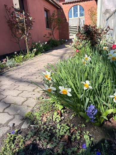 Weg zum Haus