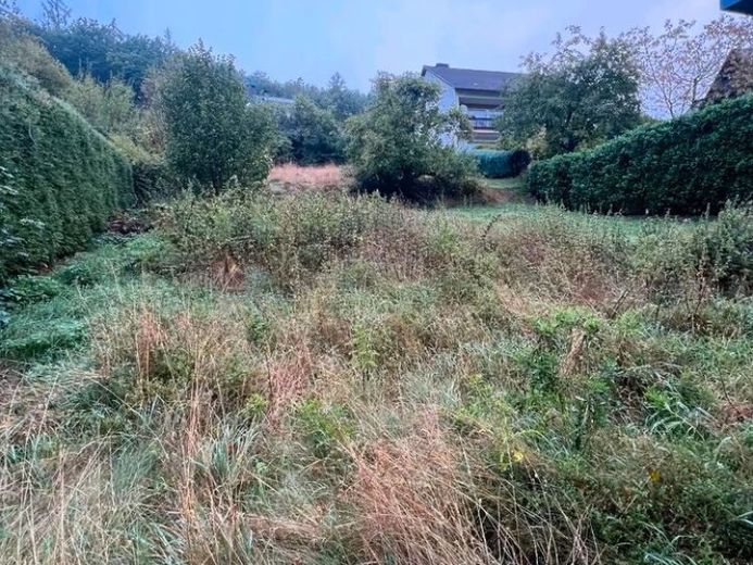 Voll erschlossenes Baugrundstück in ruhiger Lage von Netphen-Grissenbach - 660 m² – Foto 1
