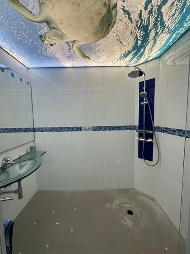 Immobile commerciale 2 capannoni 300 + 450 m² casa unifamiliare 188 m² – Bad 2