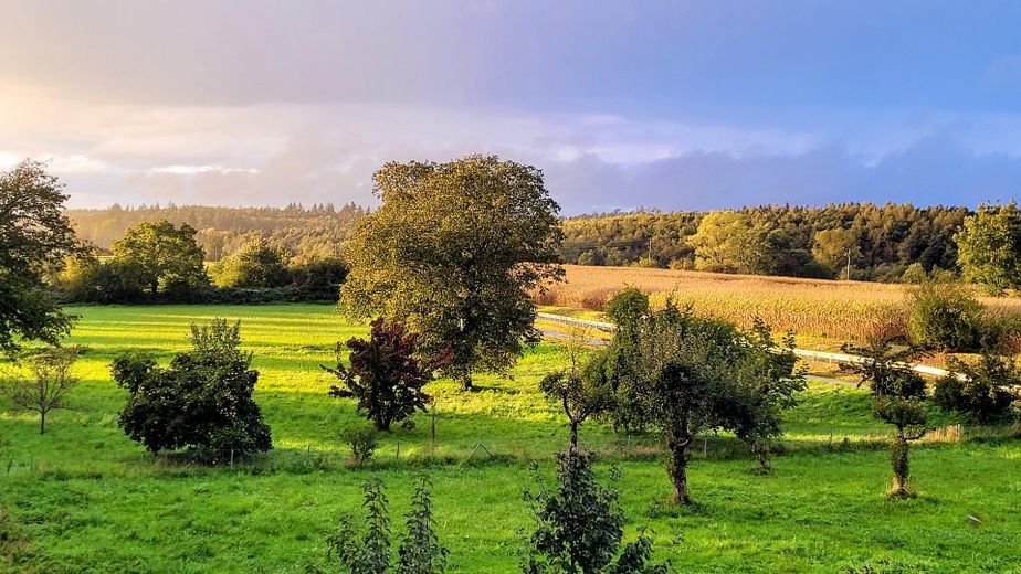 Blick Richtung Westen