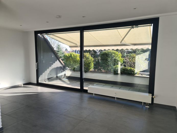 Wohnzimmer / Dachterrasse