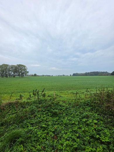 1.298 m² Baugrundstück auf Rügen mit positiver Bauvoranfrage! – Blick vom Grundstück